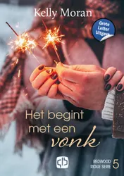 Omslag van Het begint met een vonk -Grote Letter Uitgave
