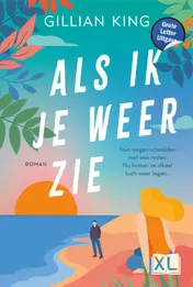 Omslag van Als ik je weer zie - Grote Letter Uitgave