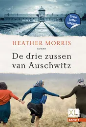 Omslag van De drie zussen van Auschwitz - Grote Letter Uitgave (in 2 banden)