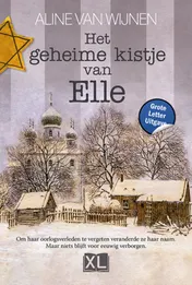 Omslag van Het geheime kistje van Elle - Grote Letter Uitgave