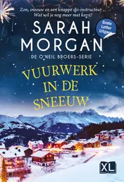 Omslag van Vuurwerk in de sneeuw - Grote Letter Uitgave