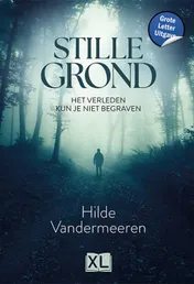 Omslag van Stille grond - Grote Letter Uitgave
