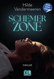 Omslag van Schemerzone - Grote Letter Uitgave