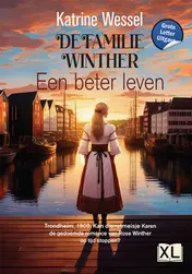Omslag van Een beter leven - Grote Letter Uitgave