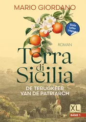 Omslag van De terugkeer van de patriarch - Grote Letter Uitgave (in 2 banden)