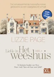 Omslag van Liefde in het weeshuis - Grote Letter Uitgave