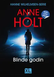 Omslag van Blinde godin - Grote Letter Uitgave