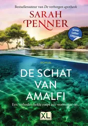 Omslag van De schat van Amalfi - Grote Letter Uitgave