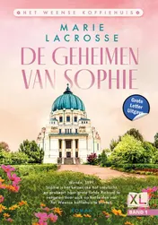 Omslag van De geheimen van Sophie - Grote Letter Uitgave