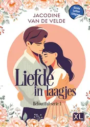 Omslag van Liefde in laagjes - Grote Letter Uitgave
