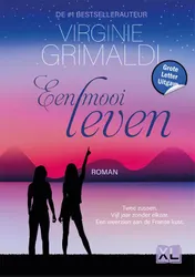 Omslag van Een mooi leven - Grote Letter Uitgave
