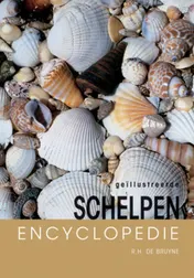 Omslag van Schelpen encyclopedie