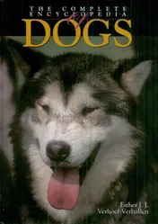 Omslag van Big Encyclopedia of dogs