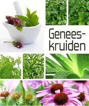 Omslag van Dumonts kleine Geneeskruiden lexicon