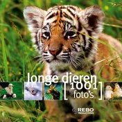 Omslag van Jonge dieren
