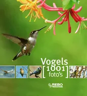 Omslag van Vogels 1001 foto's