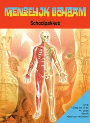 Omslag van Menselijk lichaam schoolpakket