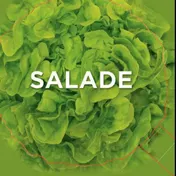 Omslag van Salade