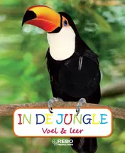 Omslag van In de jungle