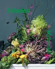 Omslag van Myllymäki Salades