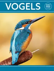 Omslag van Rebo mini guide - Vogels