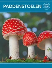 Omslag van Paddenstoelen - Rebo mini guide