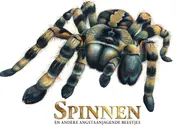 Omslag van Spinnen en andere angstaanjagende beestjes