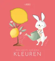Omslag van Kleuren - Mijn eerste voelboek