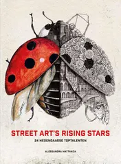 Omslag van Street art's rising stars