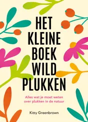 Omslag van Het kleine boek wildplukken