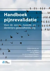 Omslag van Handboek pijnrevalidatie
