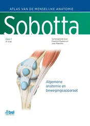 Omslag van 1 Algemene anatomie en bewegingsapparaat