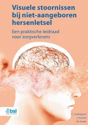 Omslag van Visuele stoornissen bij niet-aangeboren hersenletsel