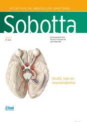 Omslag van 3 Hoofd, hals en neuroanatomie