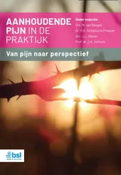 Omslag van Aanhoudende pijn in de praktijk