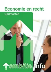 Omslag van Ambitie.info