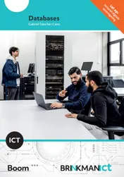 Omslag van Databases | combipakket