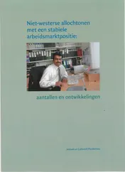 Omslag van Niet-westerse allochtonen met een stabiele arbeidsmarktpositie