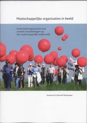 Omslag van Maatschappelijke organisaties in beeld
