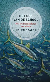 Omslag van Het oog van de school
