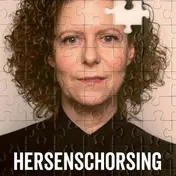 Omslag van Hersenschorsing