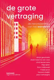 Omslag van De grote vertraging