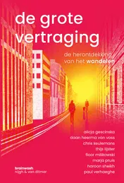 Omslag van De grote vertraging