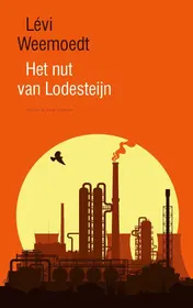 Omslag van Het nut van Lodesteijn