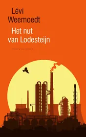 Omslag van Het nut van Lodesteijn