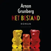 Omslag van Het bestand