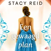 Omslag van Een gewaagd plan