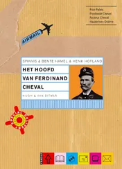 Omslag van Het hoofd van Ferdinand Cheval
