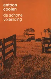 Omslag van De schoone voleinding