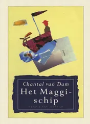 Omslag van Het maggischip